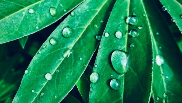 EDYCJA WRZEŚNIOWEGO KONKURSU FOTOGRAFICZNEGO